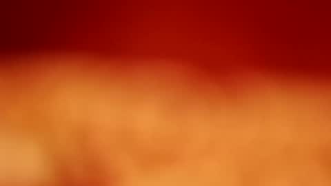 germanandy71 online show from January 2026 02:11:01 PM