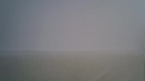 Snapshot of gessy_angel chatting on February 2026 07:52:01 AM gessy_angel online show from February 2026 07:52:01 AM