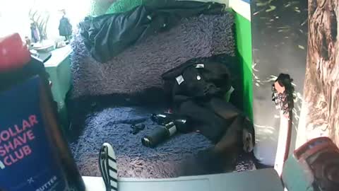 getfucked321jake online show from January 2025 12:31:01 PM