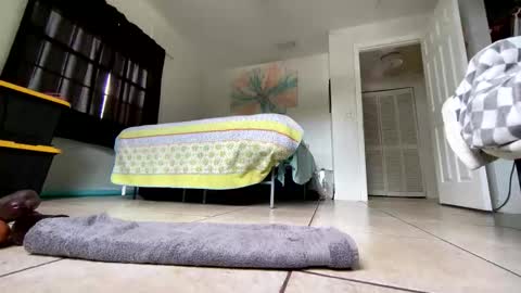 Getngetout88 online show from March 2026 06:23:01 PM