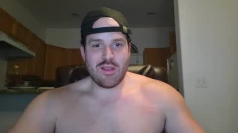 Snapshot of gildedsins1 chatting on February 2025 02:03:02 AM WildBoyVibes online show from February 2025 02:03:02 AM