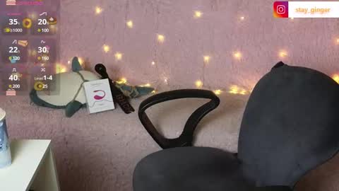 Snapshot of ginger_stay chatting on January 2025 09:47:01 AM Ginger online show from January 2025 09:47:01 AM