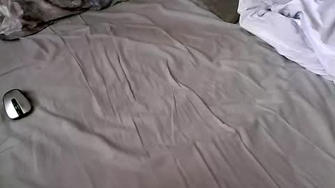 giorgibbbgioribbb online show from February 2025 07:56:01 AM