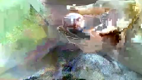 girafsnoop online show from January 2025 12:59:02 PM