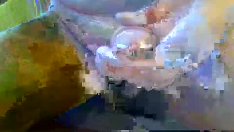 girafsnoop online show from September 2025 08:09:02 AM