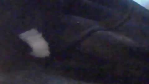 Snapshot of girlscallme666 chatting on October 2025 03:44:02 PM lovegirlscallme online show from October 2025 03:44:02 PM