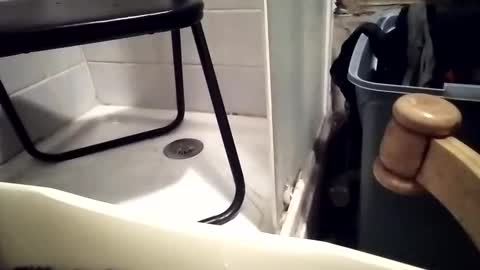 Snapshot of girlscallme666 chatting on December 2025 07:30:02 PM lovegirlscallme online show from December 2025 07:30:02 PM