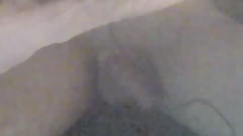 Snapshot of girlscallme666 chatting on January 2026 09:09:01 PM lovegirlscallme online show from January 2026 09:09:01 PM