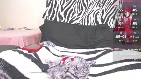 kim online show from February 2026 05:06:01 AM