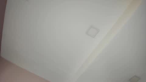     online show from March 2025 11:17:01 AM