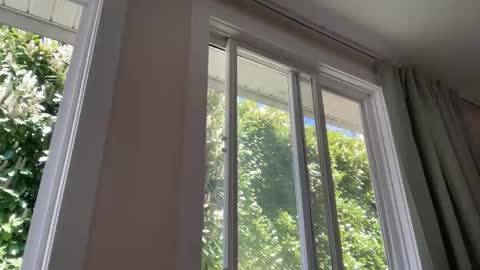 Snapshot of globalmovement chatting on April 2026 07:55:02 PM globalmovement online show from April 2026 07:55:02 PM