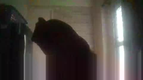 gloriakisibo548 online show from April 2026 09:24:01 AM