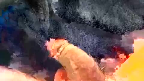 Gman online show from December 2024 03:25:02 AM