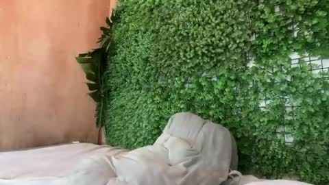 goddess_jennyxx online show from March 2026 11:32:01 AM