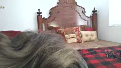 Xandra The Goddess online show from March 2026 01:26:01 PM