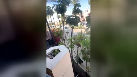 Goddess L online show from April 2026 09:01:02 AM