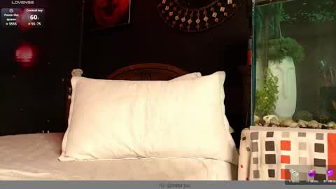 HUAN online show from January 2026 05:21:02 AM