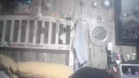 Celeste online show from January 2026 08:41:01 AM