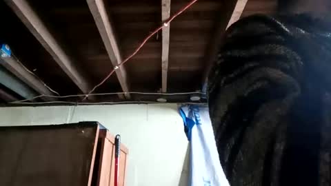 goober1979 online show from April 2026 08:17:01 PM