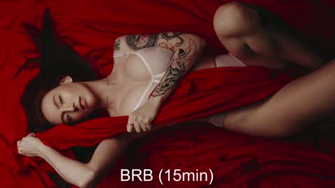 Polly online show from December 2024 03:11:02 PM