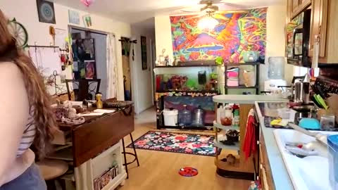 goodgirlcelestecat online show from November 2025 04:05:01 PM