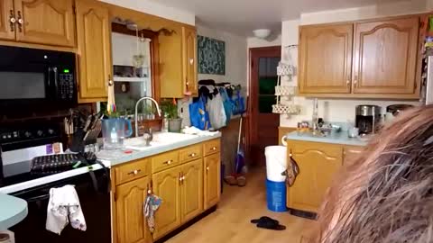 goodgirlcelestecat online show from March 2026 10:30:02 AM