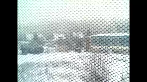 google5001 online show from January 2026 07:57:02 AM