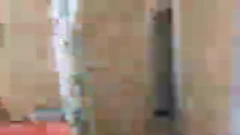 Snapshot of gordito_xx chatting on July 2026 09:14:02 PM gordito_xx online show from July 2026 09:14:02 PM