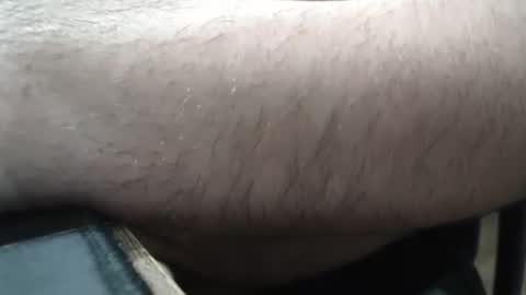 Gordo Brasil online show from May 2026 11:56:01 PM