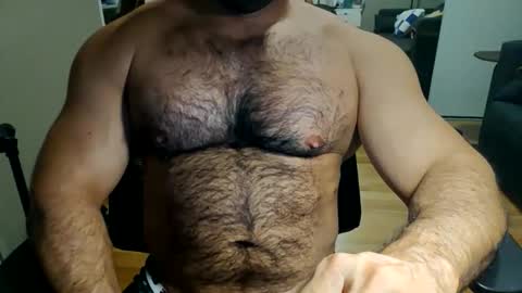 Snapshot of gorillaba chatting on April 2026 09:37:01 AM gorillaba online show from April 2026 09:37:01 AM