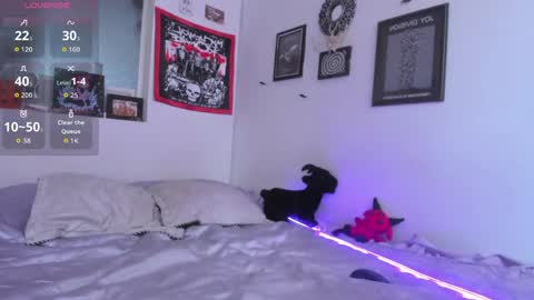 Snapshot of gothic_do11 chatting on May 2026 05:31:01 PM hi my name is Elizabeth nice to meet you online show from May 2026 05:31:01 PM