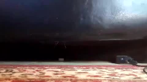 Snapshot of gothicfeetfantasies chatting on March 2025 03:40:02 PM Mistress Mommy Godess online show from March 2025 03:40:02 PM