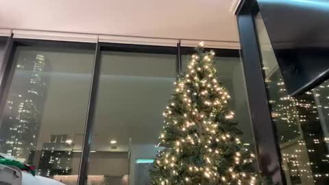 Gracie Mae online show from December 2025 11:36:02 PM