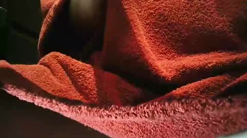 Snapshot of grapefruit chatting on March 2025 09:59:01 PM grapefruit online show from March 2025 09:59:01 PM