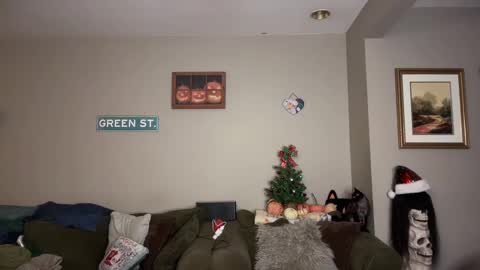 Snapshot of greenxxxqueen chatting on December 2024 02:23:01 AM SexQueen Nikki online show from December 2024 02:23:01 AM