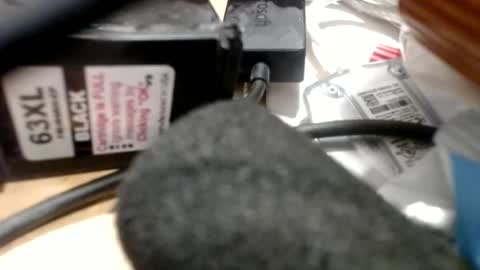 Snapshot of gregburns chatting on June 2026 10:55:01 PM Greg online show from June 2026 10:55:01 PM