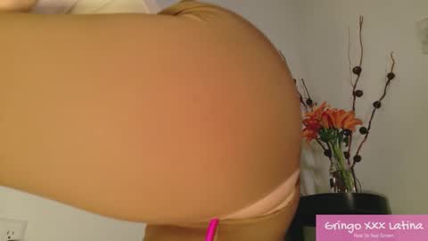 gringo_xxx_latina online show from November 2025 03:50:01 AM