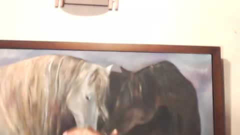 griseldax online show from December 2024 11:34:01 PM