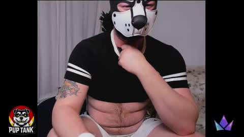 Snapshot of growingcub94 chatting on December 2025 05:55:02 AM Alpha pup online show from December 2025 05:55:02 AM