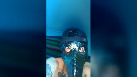 gservin908700634 online show from July 2026 12:09:01 PM