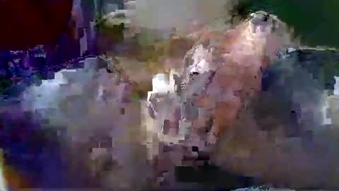 Snapshot of gtnolder60 chatting on January 2026 01:42:02 AM Gary online show from January 2026 01:42:02 AM