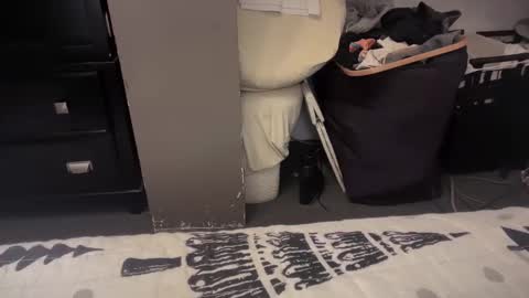 gumbywanna online show from December 2024 01:36:02 AM