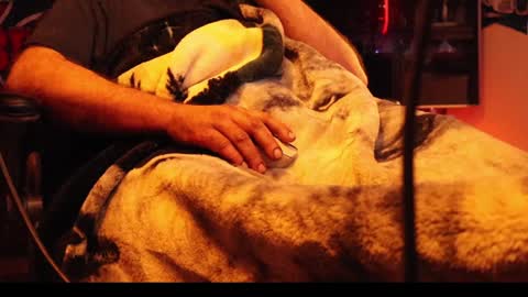 h0tttsteel online show from December 2024 10:08:02 AM