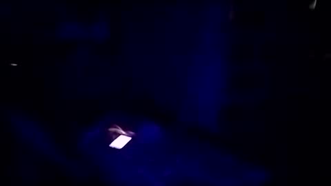 hackerbtc11 online show from April 2026 03:17:02 AM