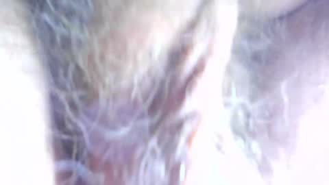 hagridthehorrible online show from April 2026 11:32:01 AM