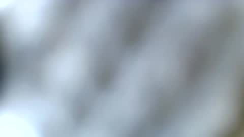 tatted blonde online show from December 2025 03:59:01 AM