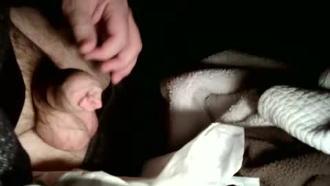 share9 online show from February 2026 03:05:01 AM