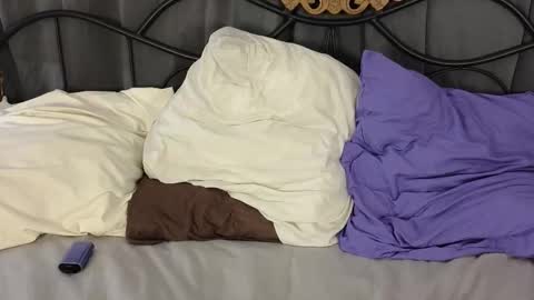 Lylu online show from February 2026 02:53:01 AM