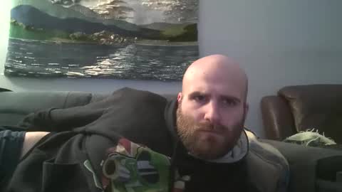 Hairiest Bear online show from December 2024 11:11:02 AM