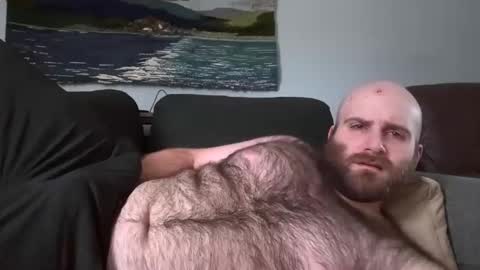 Hairiest Bear online show from March 2025 06:19:01 PM